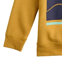 Toddler Boy Jumping Beans® Adaptive Fleece Pullover Graphic Hoodie -Kohls shop 5596110 ALT2