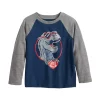 Toddler Boy Jumping Beans® Dinosaur Valentine's Day Raglan Tee